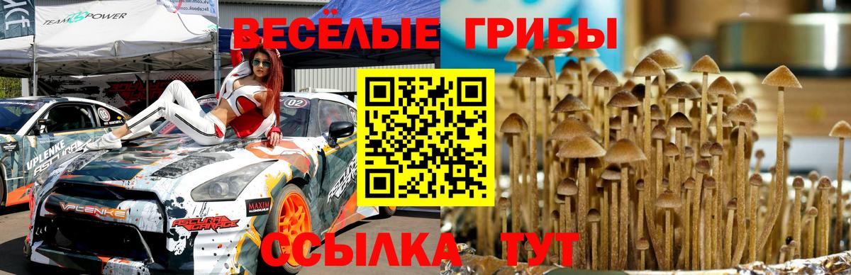 Псилоцибиновые грибы ЛСД Димитровград