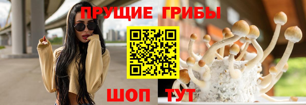 Димитровград  Галлюциногенные грибы прущие грибы  купить наркоту  Вход с VPN 